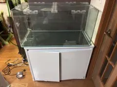 ADA ガラス水槽 90cm引取り限定 - メルカリ