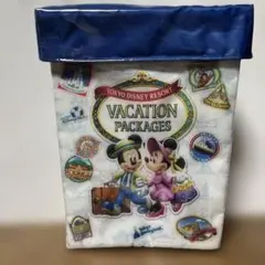 ディズニーリゾート ポップコーンバケット