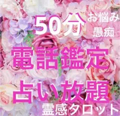 ⭐️電話占いorチャット50分♡霊感タロット占い放題❣️