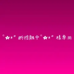 ꙳★*゜断捨離中꙳★*゜様専用