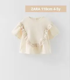 Item thumbnail for item a3e88149-2a0c-43cb-bdf4-906d418b05c0