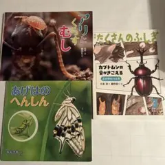 かがくのとも　雑木林の虫たちの絵本　ヤママユ　カブトムシ　ハンミョウ　福音館 かがくのとも 雑木林の虫たちの絵本 ヤママユ カブトムシ ハンミョウ