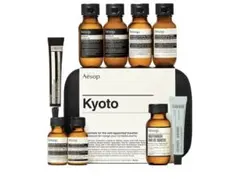Aesop Chicago トラベルセット ×2セット まとめ売り｜箱なし - メルカリ