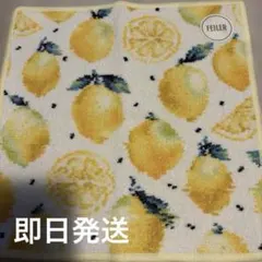 Item thumbnail for item ae10fa50-41d5-47c0-80b6-462a300c7b09