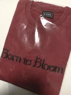 チョパモ様 リクエスト 2点 まとめ商品