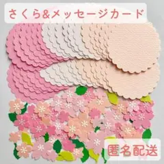 姫子様 リクエスト 2点 まとめ商品