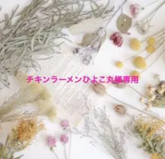 チキンラーメンひよこ丸様専用
