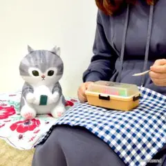 mofusand　おべんとうにゃん　約30㎝ BIGぬいぐるみ　モフサンド 猫