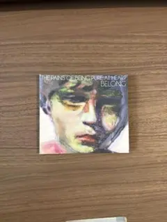 The Pains of Being Pure at Heart -Belong