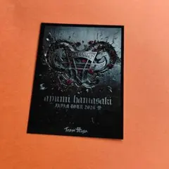 浜崎あゆみ TA パスポート ファンクラブ限定 No.11 ブルーデニム