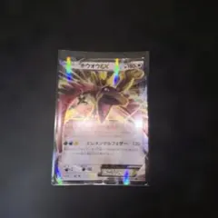 ポケモンカード ホウオウEX RR XY9 破天の怒り 068/080 - メルカリ