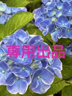 ルナフラッシュブレスレット