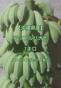 【沖縄県産】アップルバナナ 1キロのサムネイル