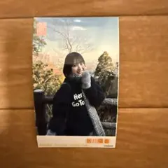 Item thumbnail for item 17543fb4-f400-42f6-adc1-4b16488bbf45