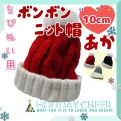 新商品 ボンボンニット帽 赤 10cm ぬい活 ぬい服 推し活 すのチル