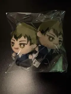 お買い得セット！ 禪院直哉 ちょぴぬいぷち & ナムコ限定 ちみっともぬい 呪術廻戦 ちょぴぬいぷち 禪院直哉 - メルカリ