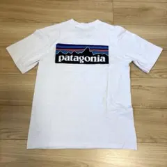 Patagonia Responsibili-Tee Tシャツ XS