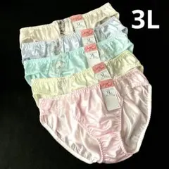 【3Lサイズ】レディースショーツ 5枚セット 大きいサイズ Xー173のサムネイル