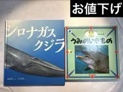 希少】開園40周年記念 鴨川シーワールドのなかまたち シャチ オルカ