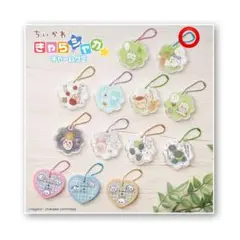 匿名配送！新品最安値！ちいかわ きゃらシャカ☆チャームグミ ハチワレ②