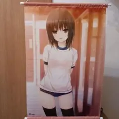 青山さん　ブルマニーソ B2タペストリー　ロイヤルマウンテン　珈琲貴族　軸中心派