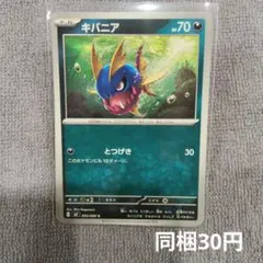 【在庫2】キバニアまとめ買いのサムネイル