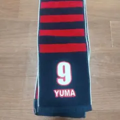 新品】鹿島アントラーズ 2025 J1リーグ優勝記念タオルマフラー - メルカリ