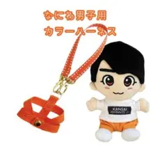 ⭕️即購入可/なにわ男子用 カラーハーネス オレンジのサムネイル