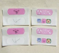 SKZOO CharmAid チャンビン