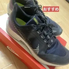 Nike Air Zoom Pegasus 36 Shield 10.5 限定色