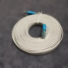 ホワイト フラットLANケーブル Cat 5e 4.5m