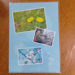 映画　ほどなく、お別れです　クリアファイル　劇場グッズ　　目黒蓮　浜辺美波