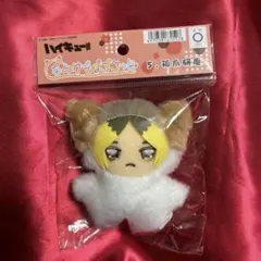 孤爪研磨 ハイキュー!! ちみけもますこっと ぬいぐるみ　ちみけも　研磨