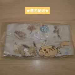 ポケモン トートバッグ&ポーチコレクション vol.9