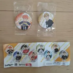 ハイキュー!! 缶バッジ 日向翔陽　宮侑　2点セット