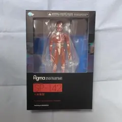 figma 人体模型
