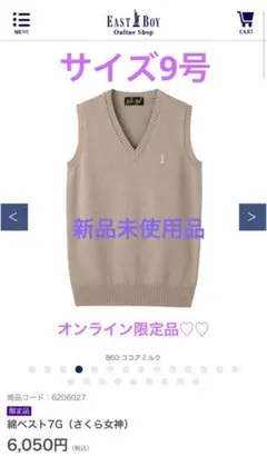 EAST BOY ココアミルク Vネック スクールベスト 7G