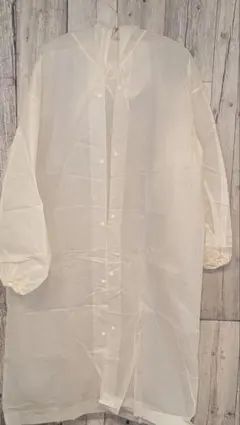 Item thumbnail for item fbd44291-fbf4-4c56-bbe7-fdd001354d54