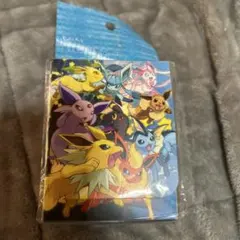 フ*ウ様 ポケモンカード　デッキケース　イーブイダッシュ　未開封