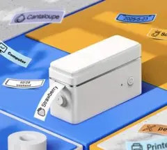 ラベルプリンター コンパクト テプラ