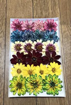 pusuke様 リクエスト 2点 まとめ商品