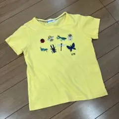 kpボーイ　ニットプランナー　昆虫　Tシャツ 110