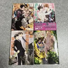 BL 小説　セット　2冊650円〜