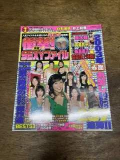極美！SEXYPファイル 2003年