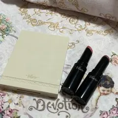 Visee ネンマクフェイクルージュ 2色セットとパレット