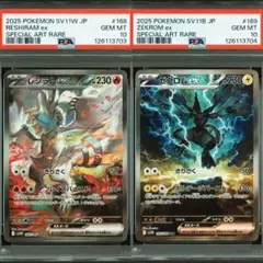 2025年最新】ゼクロムex SARの人気アイテム - メルカリ