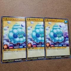遊戯王RUSHDUEL　羊界アクアシープ　3枚　ノーマル