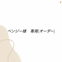 【ベンジー様　専用(オーダー)】