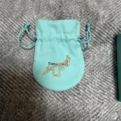 Tiffany & Co. ネックレス