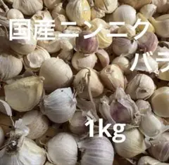 農薬不使用 兵庫県産 生にんにく 新ニンニク SS-Sサイズ 約1kg - メルカリ